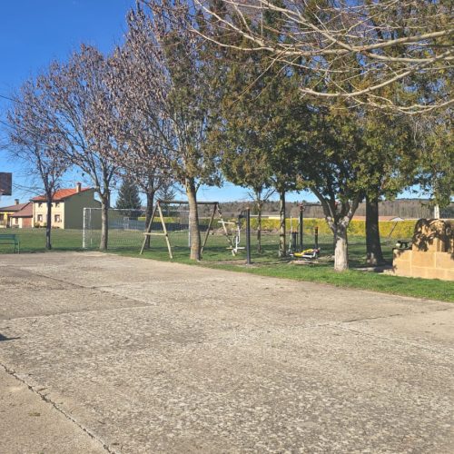 WhatsApp Image 2026-03-11 at 09.55.11